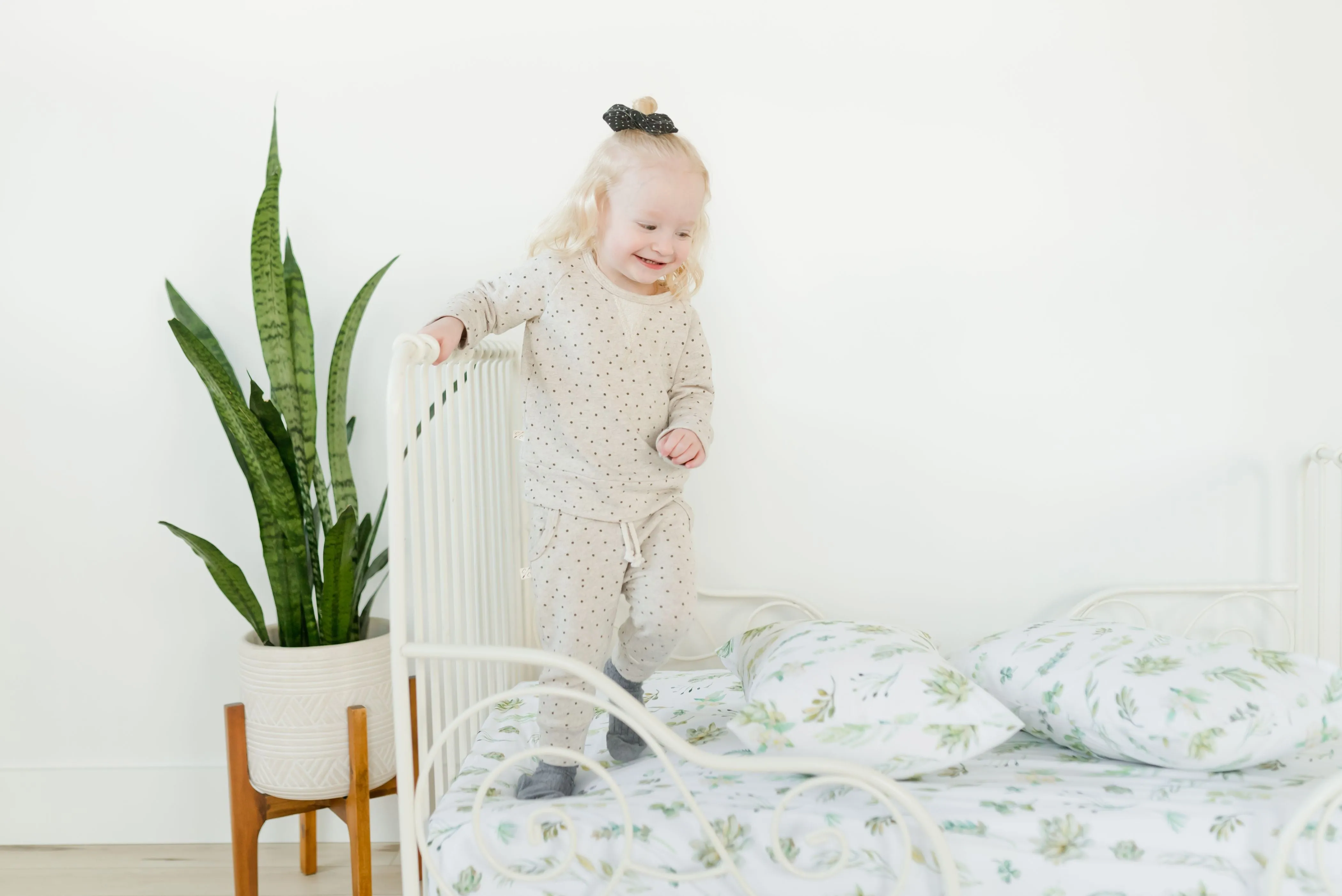 100% Cotton Toddler Pillowcase – Succulents